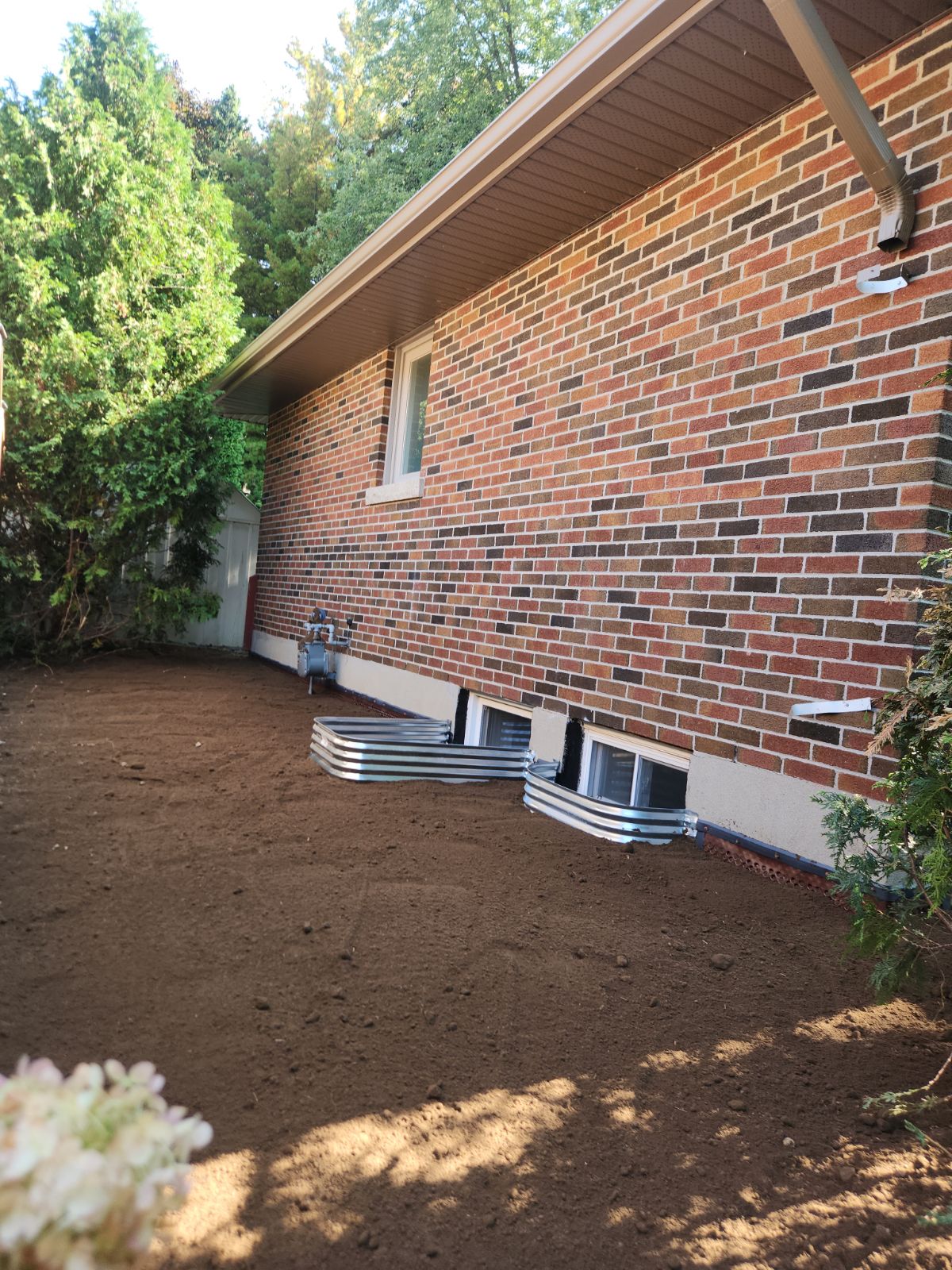 A brick house exterior with small basement windows, window wells, and a newly leveled dirt yard surrounded by green trees and a white shed.