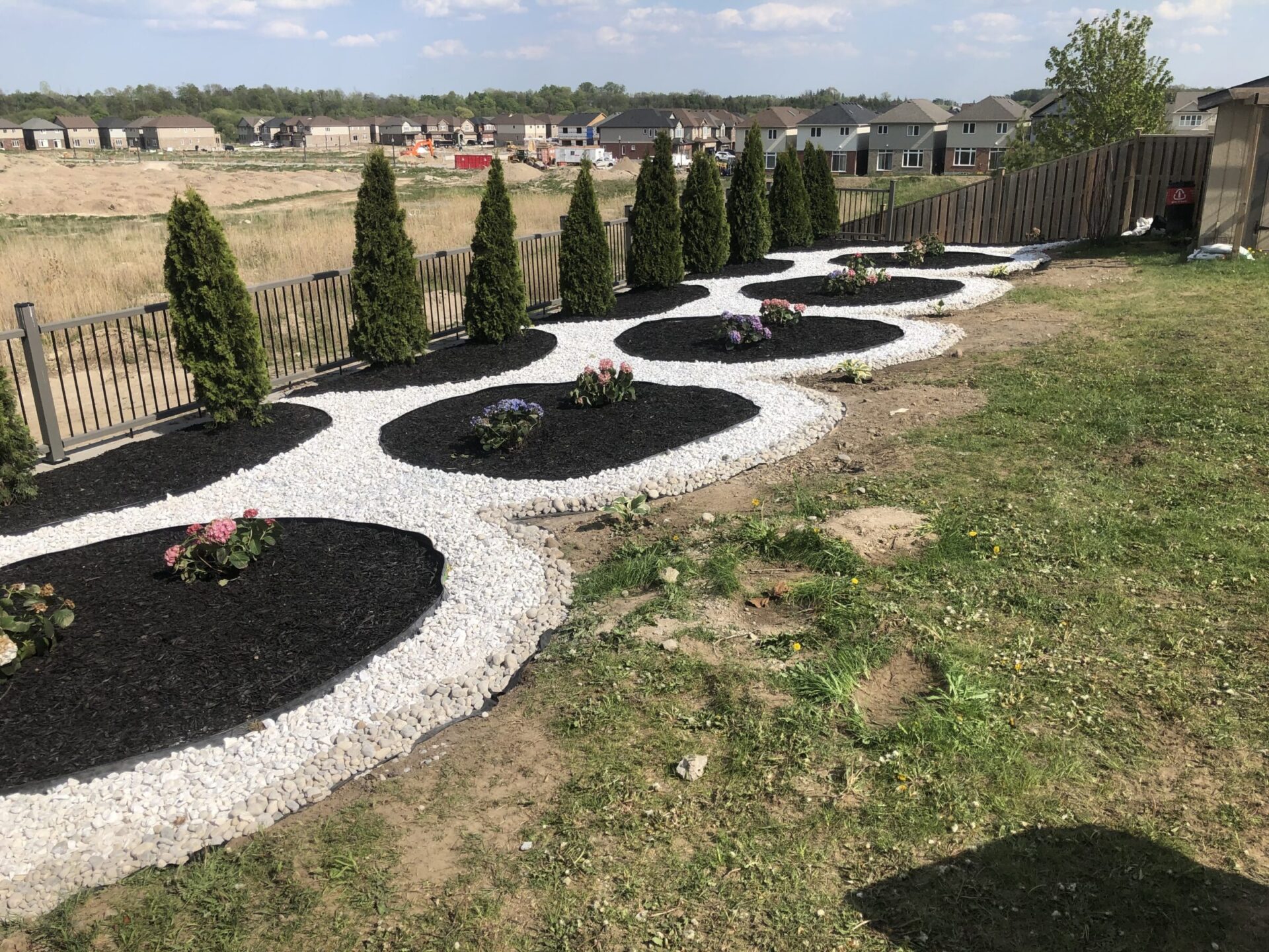 A landscaped backyard features circular black mulch beds with flowers, lined with white rocks and evergreen trees, and a fence overlooking new residential construction.