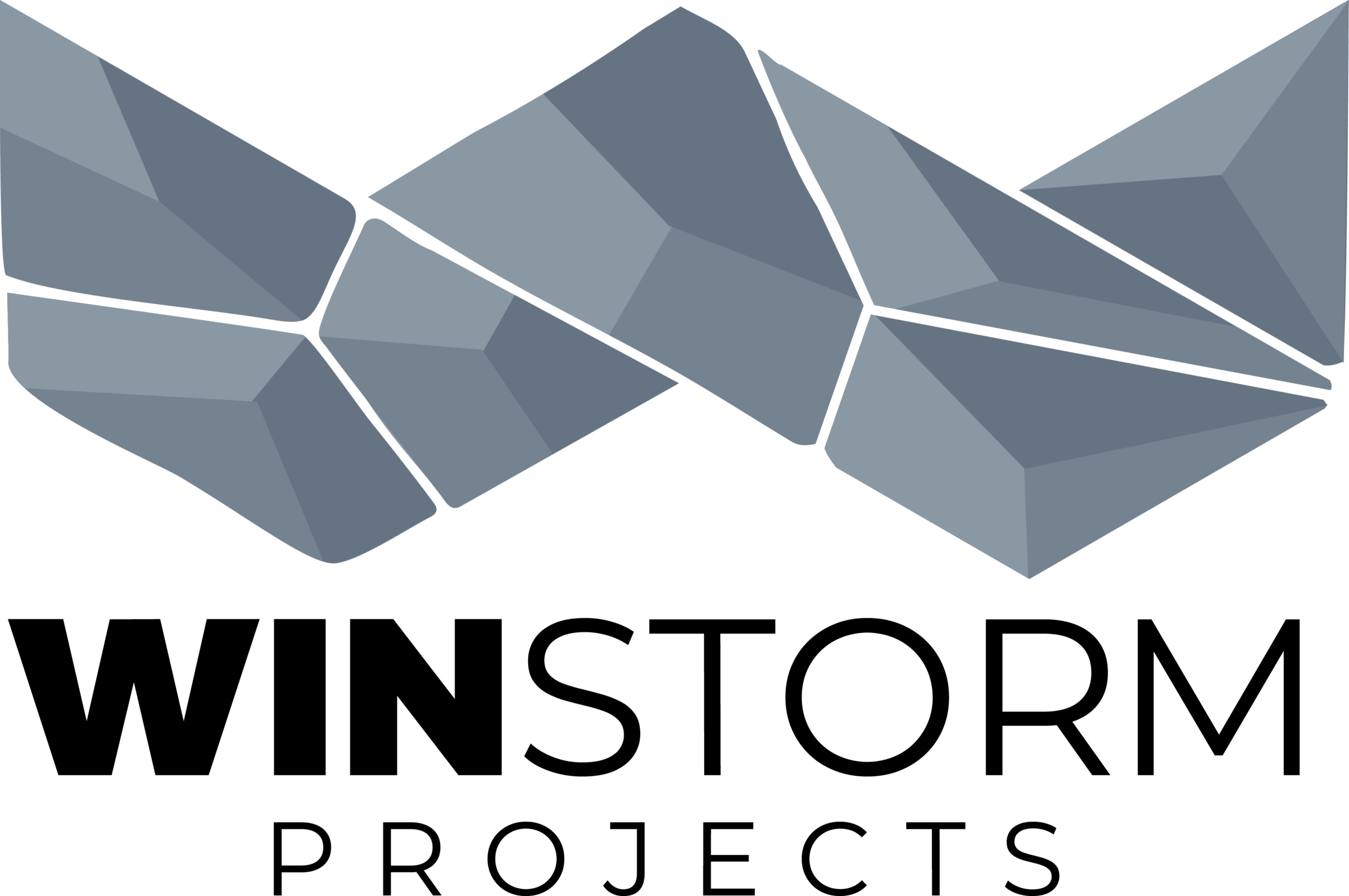 Winstorm Projects logo with angular, geometric shapes in shades of blue forming a "W" above the company name in black text.