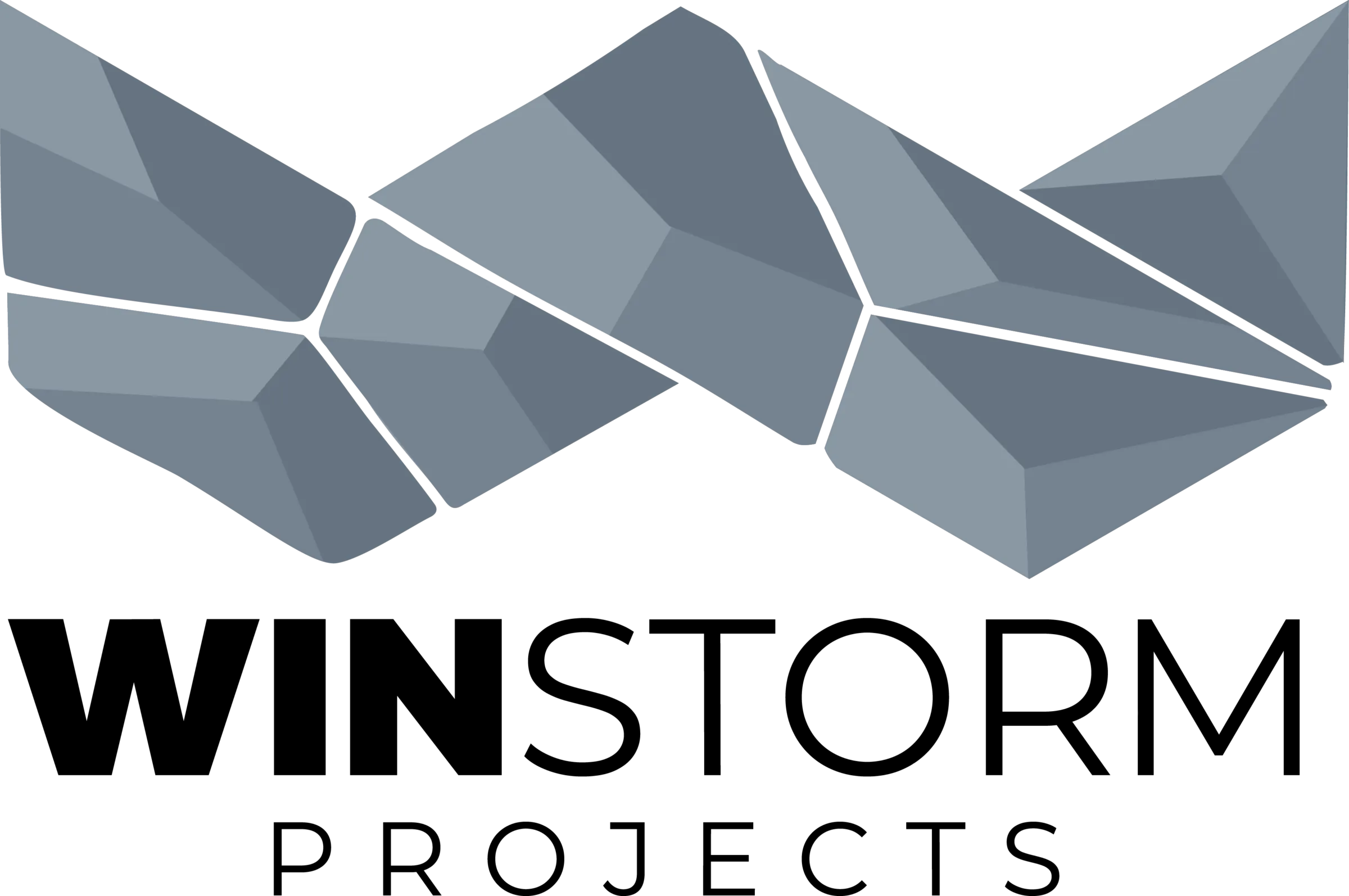 Winstorm Projects logo with angular, geometric shapes in shades of blue forming a "W" above the company name in black text.
