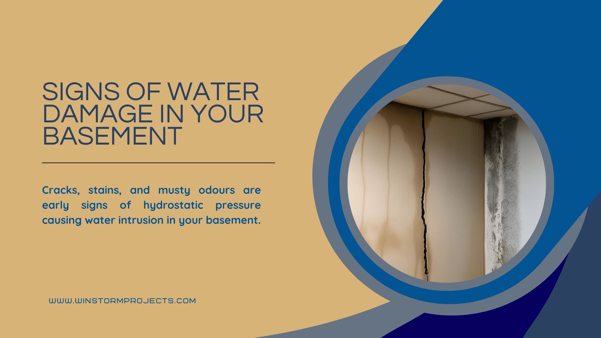 Infographic discussing water damage signs in basements, including cracks, stains, and musty odors. Features a photo of a damaged wall.