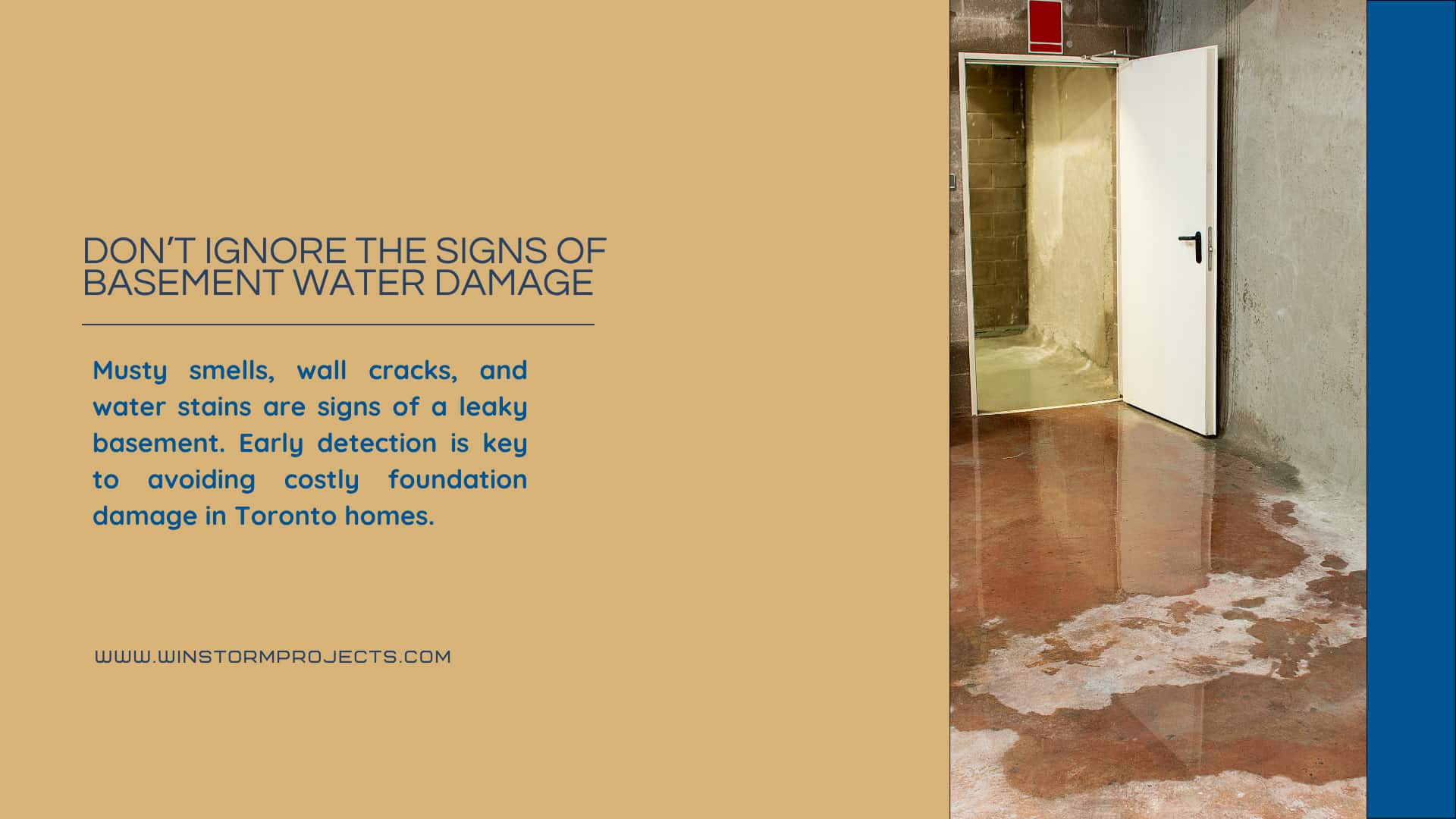 A basement with visible water damage and a warning about signs like musty smells, wall cracks, and stains, highlighting early detection importance.
