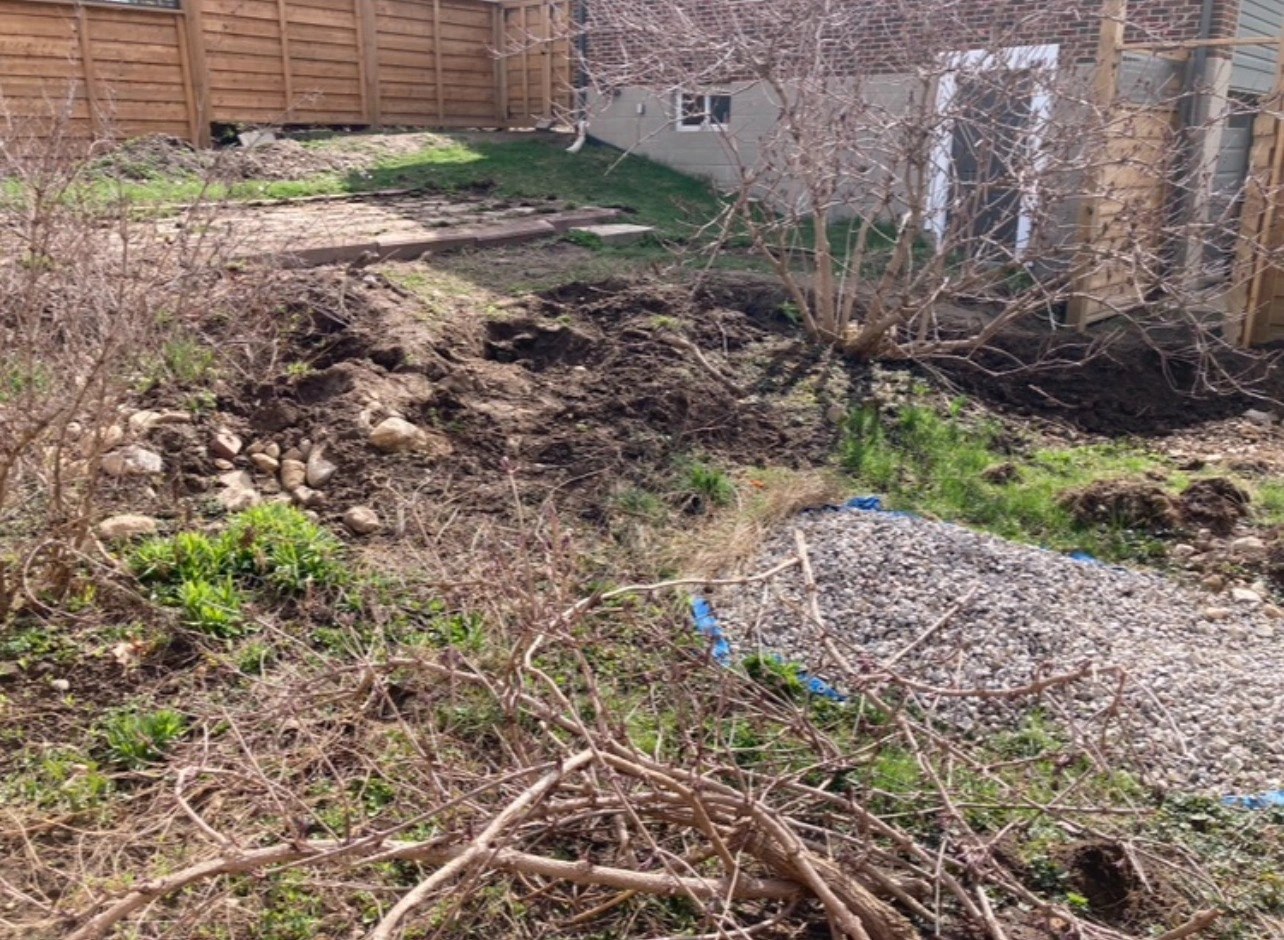 A backyard with uneven dirt, rocks, sparse plants, and bushes, bordered by wooden fencing and a small building in the background.