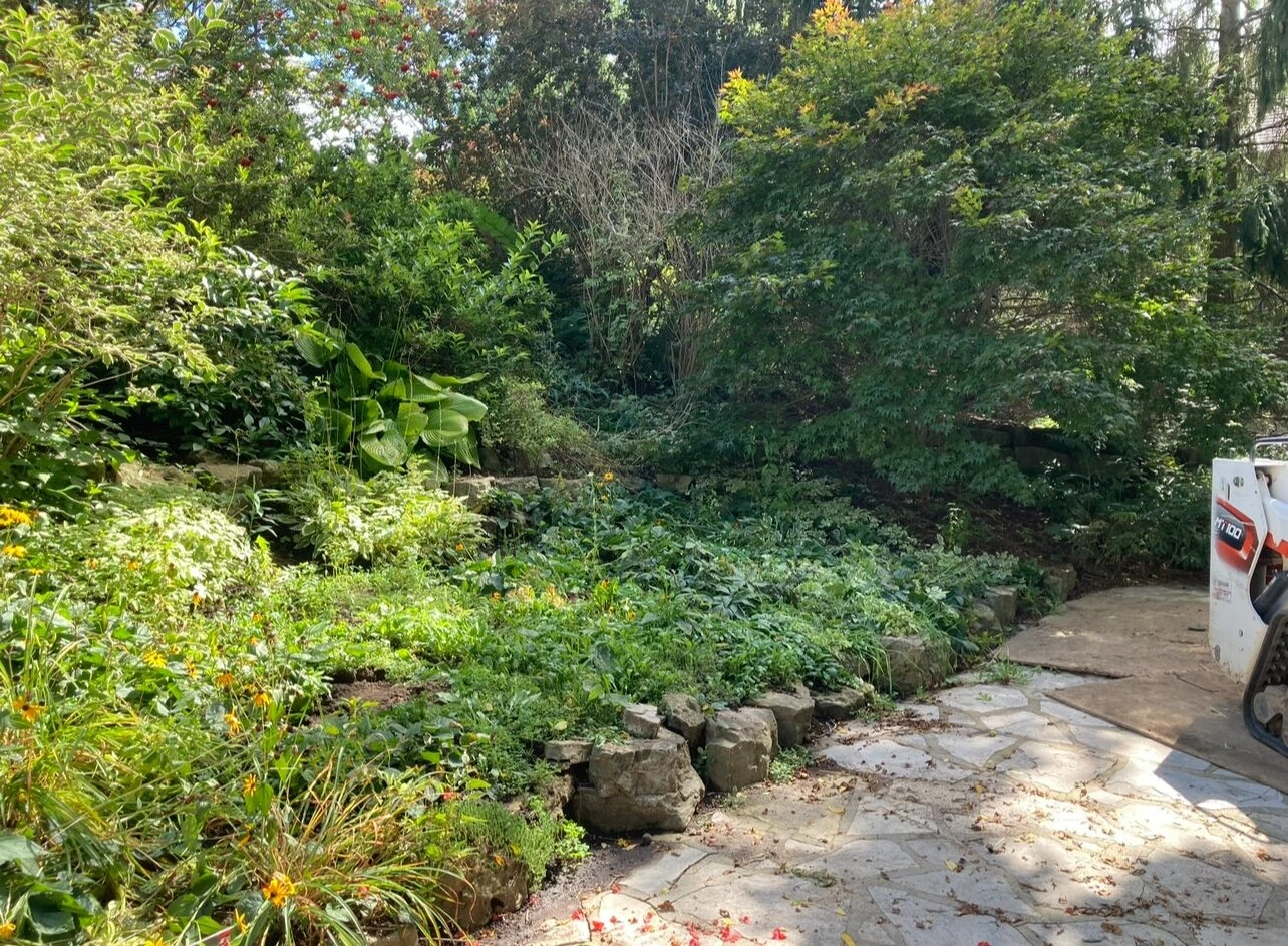 Lush garden with diverse greenery, sunlit stone path, and part of a small excavator on the right. Peaceful and vibrant outdoor setting.